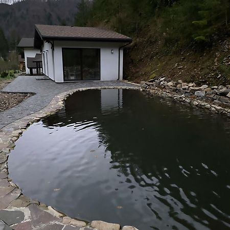 Cottage house Mizhhirya  외부 사진