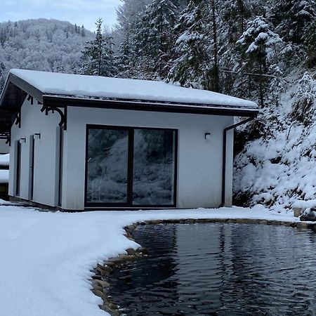 Cottage house Mizhhirya  외부 사진