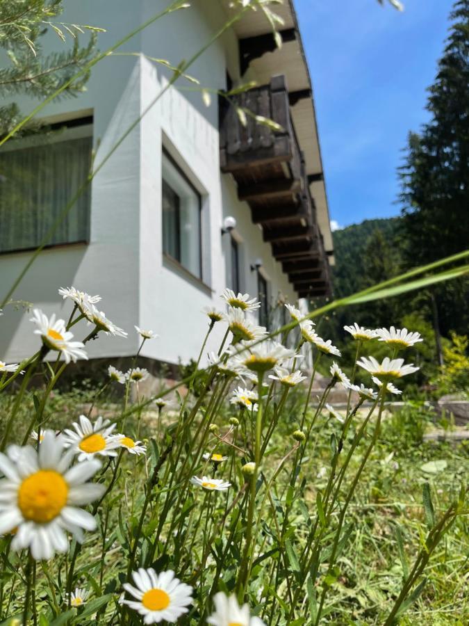 Cottage house Mizhhirya  외부 사진