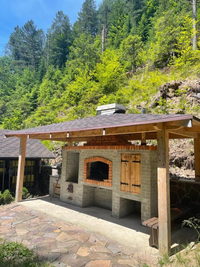 Cottage house Mizhhirya  외부 사진