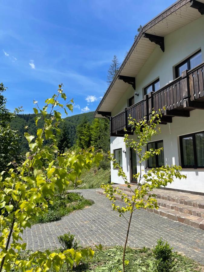 Cottage house Mizhhirya  외부 사진
