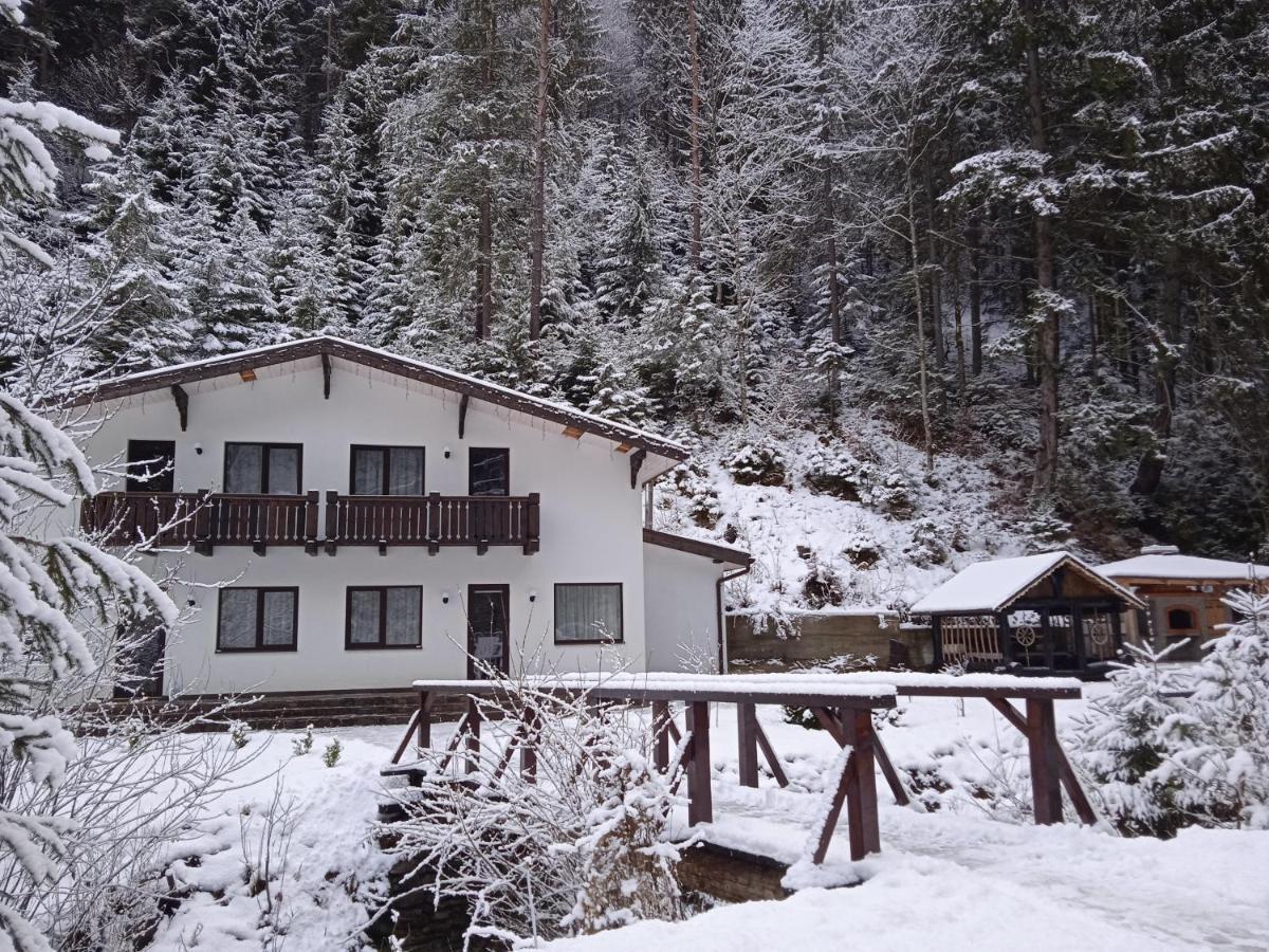 Cottage house Mizhhirya  외부 사진