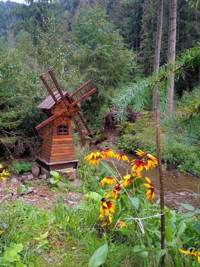 Cottage house Mizhhirya  외부 사진