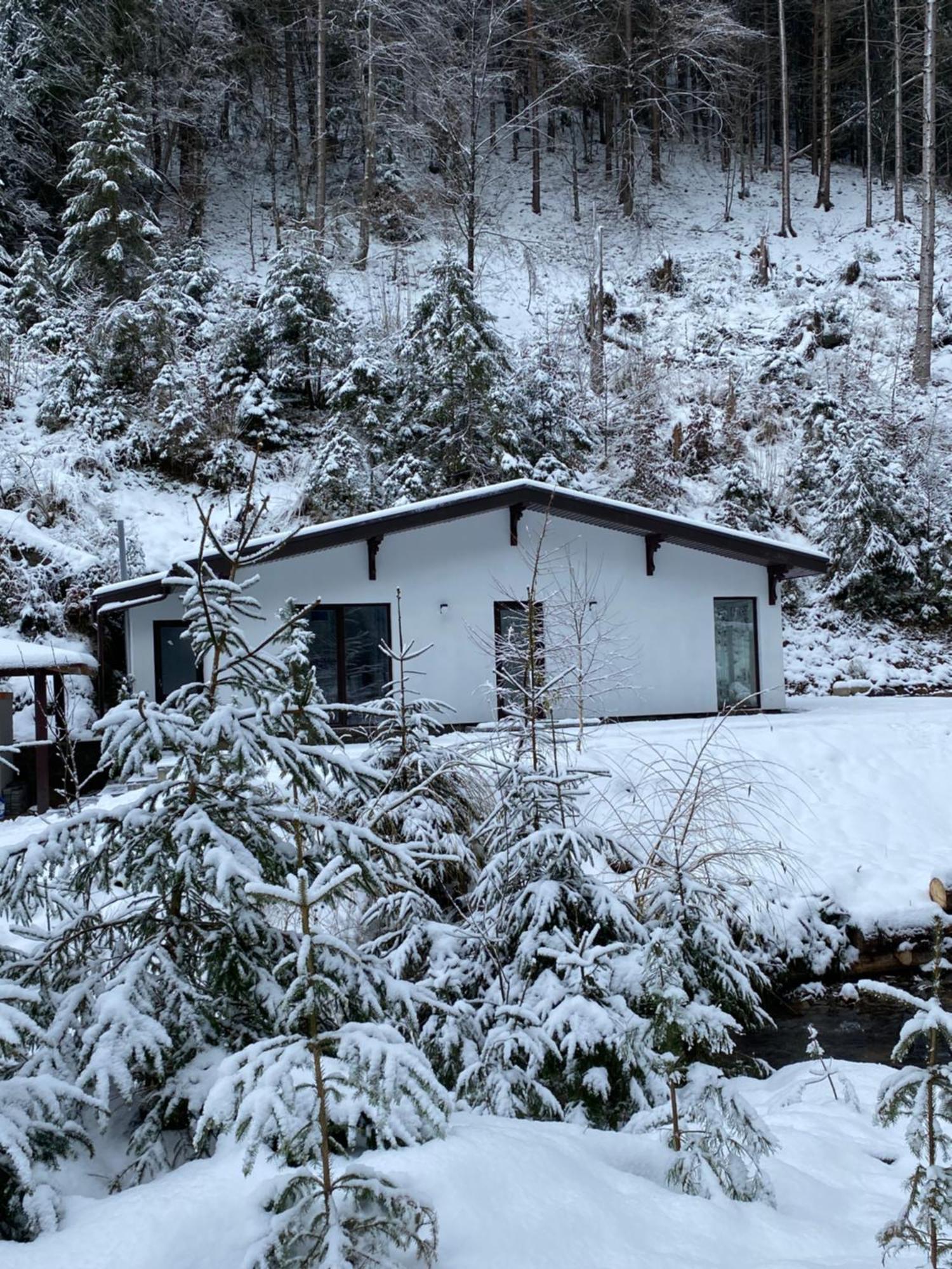 Cottage house Mizhhirya  외부 사진