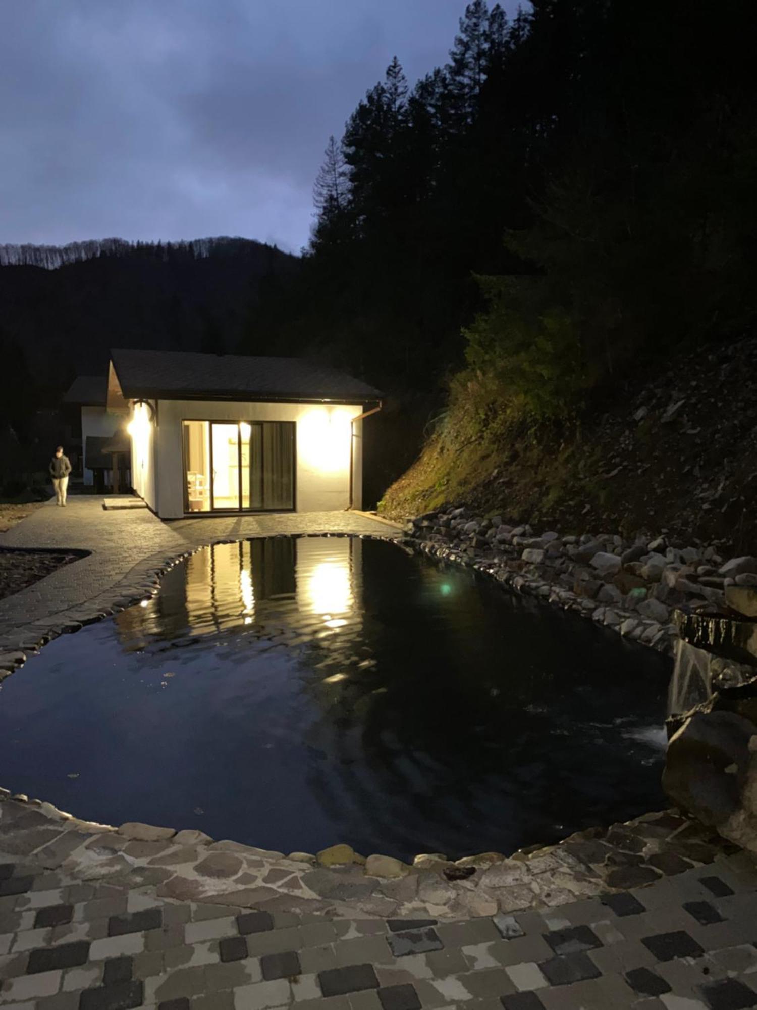 Cottage house Mizhhirya  외부 사진