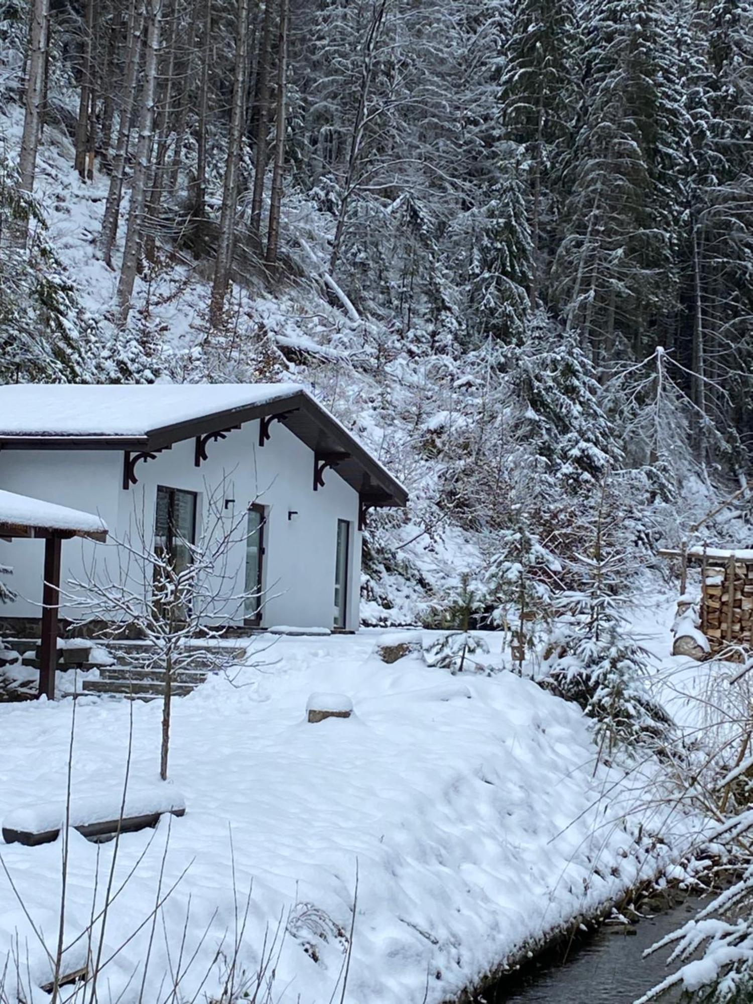 Cottage house Mizhhirya  외부 사진