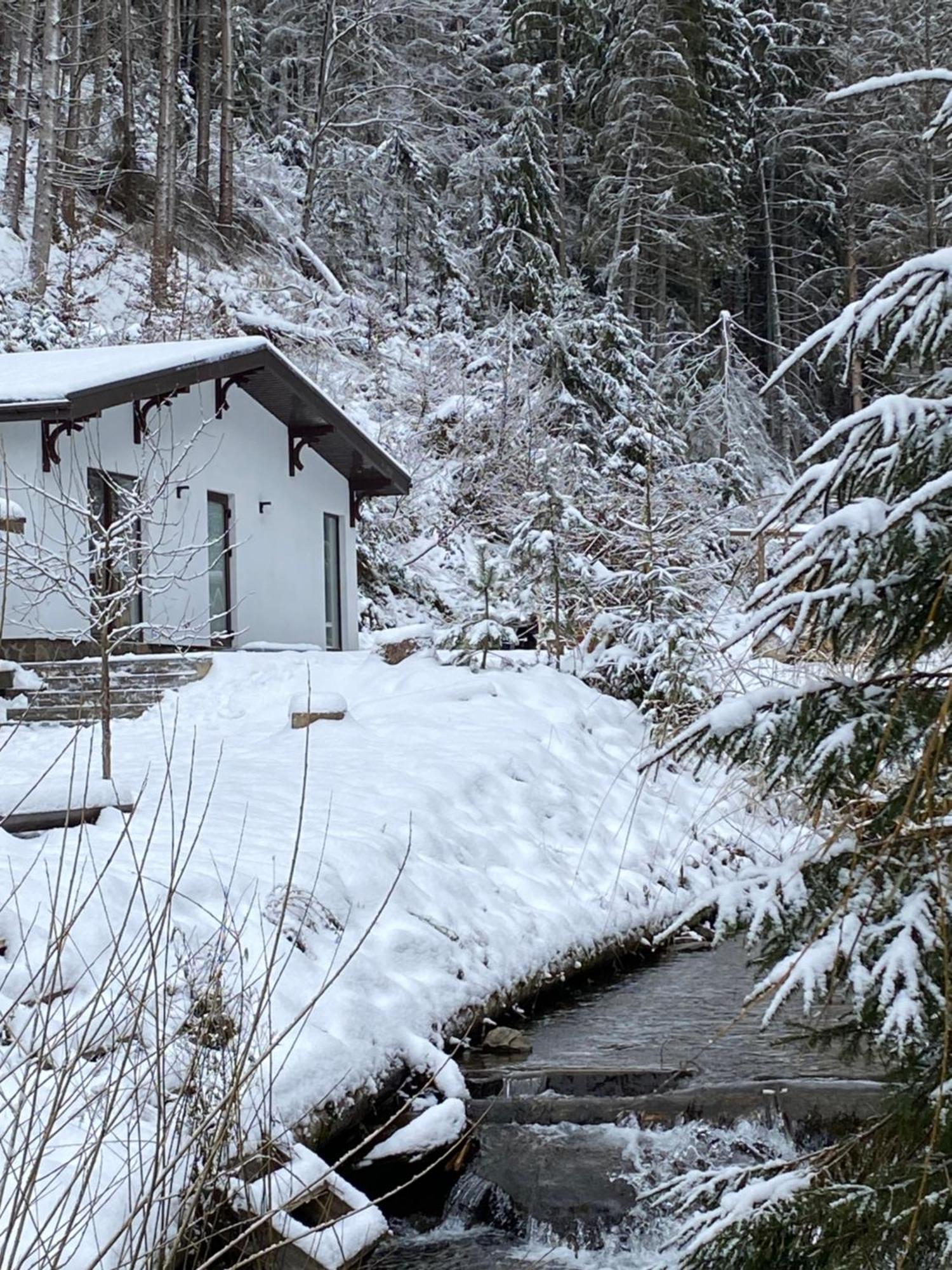 Cottage house Mizhhirya  외부 사진